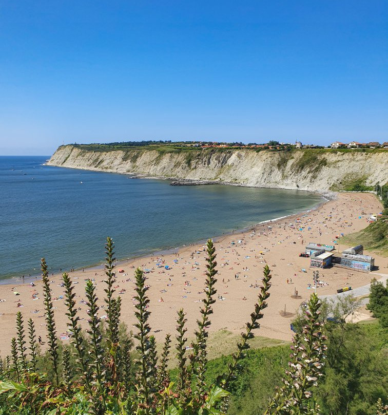 Playa de Arrigunaga景点图片