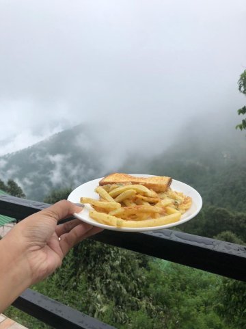 Zostel Plus Nainital (Naina Range)-官方