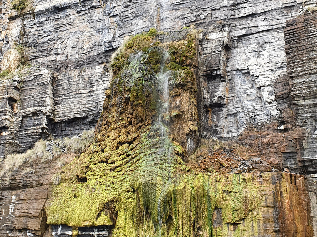 Fossil Cliffs景点图片