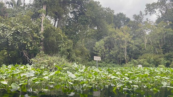 Wekiva Island-Longwood必去景点