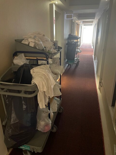 RMH Lopud Lafodia主图