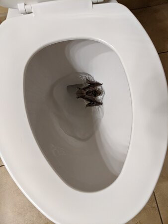 Howard's on the River主图