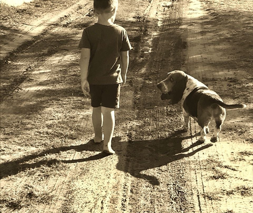 Marrakech Guesthouse主图