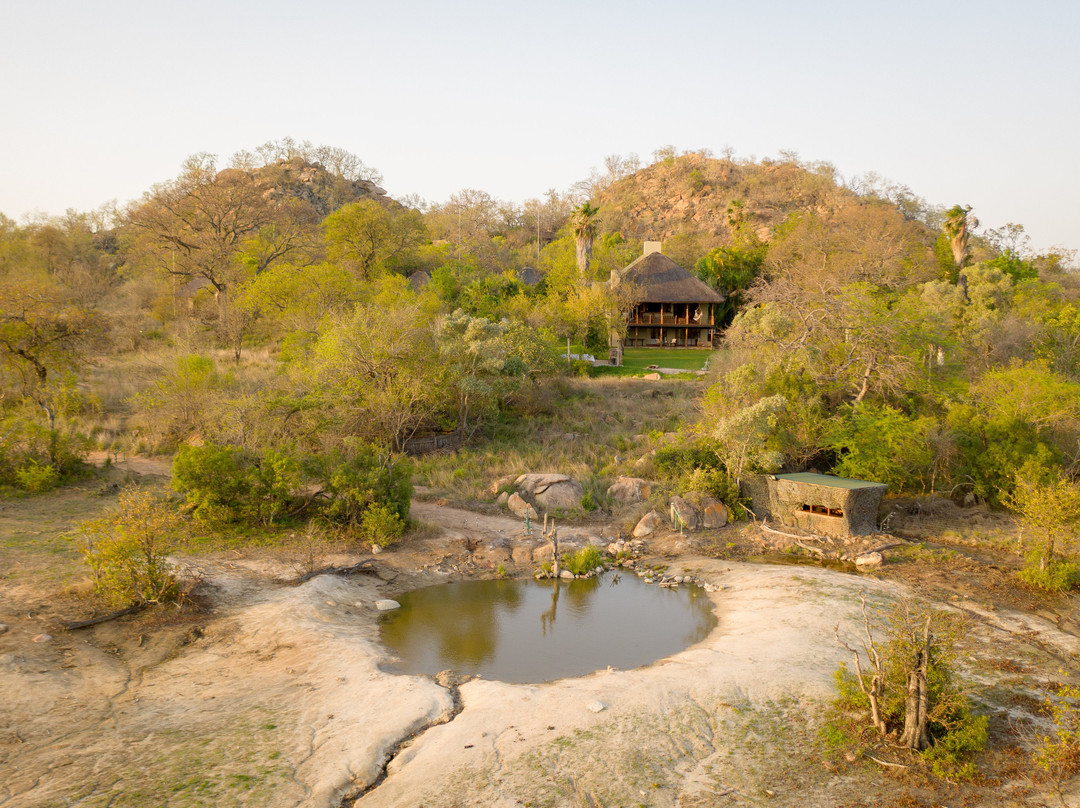 Selati Game Reserve Klipspringer