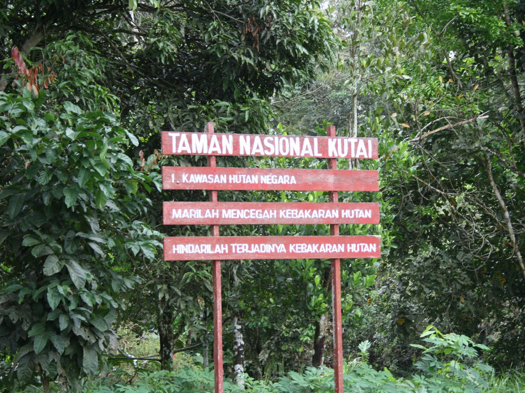 Kutai National Park景点图片