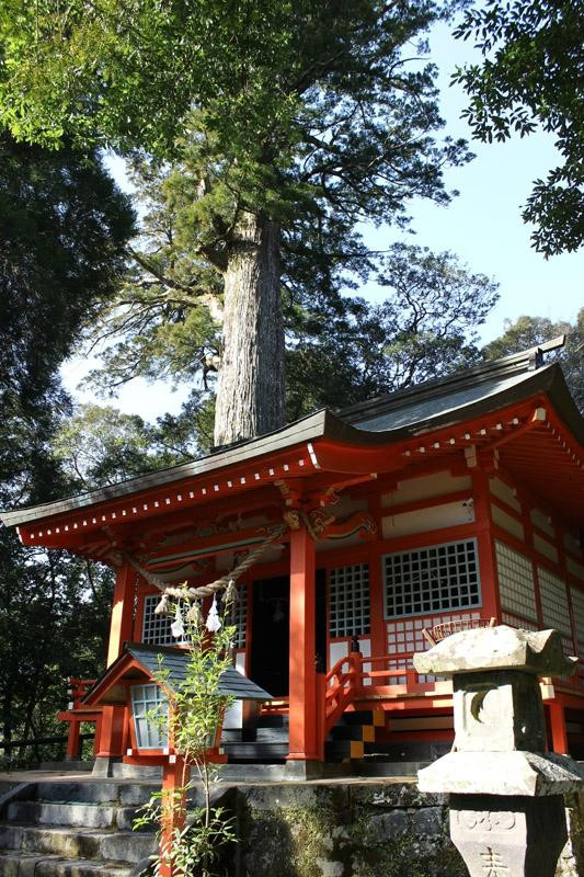 Tonegawa Shrine景点图片