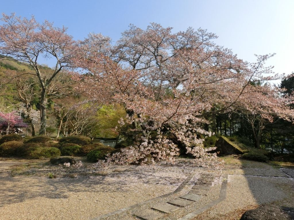 Saigyo Memorial Hall景点图片