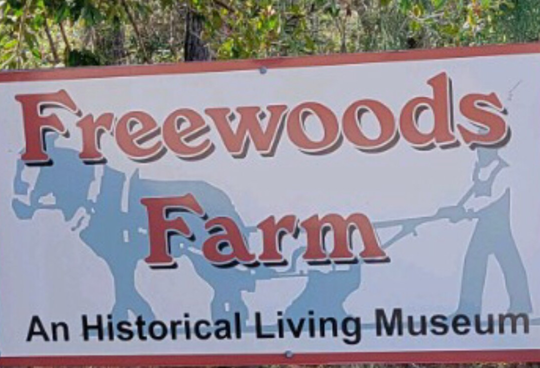 Freewoods Farm-美特尔海滩必去景点