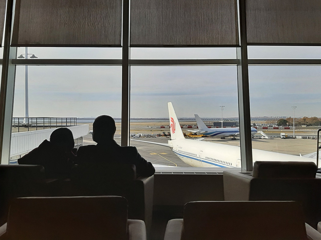 Kal Business Class Lounge Jfk Airport