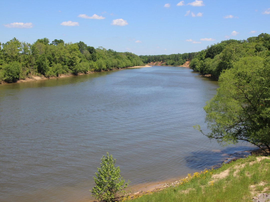 Moundville旅游攻略图片