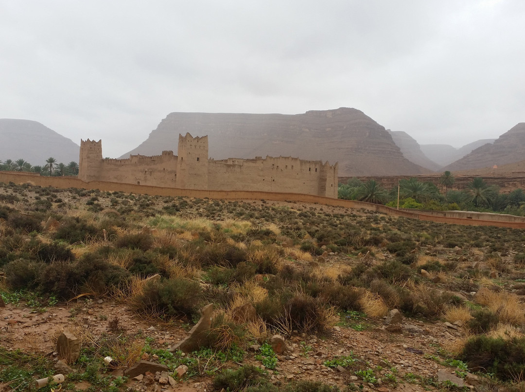 null-伊拉悉迪亚