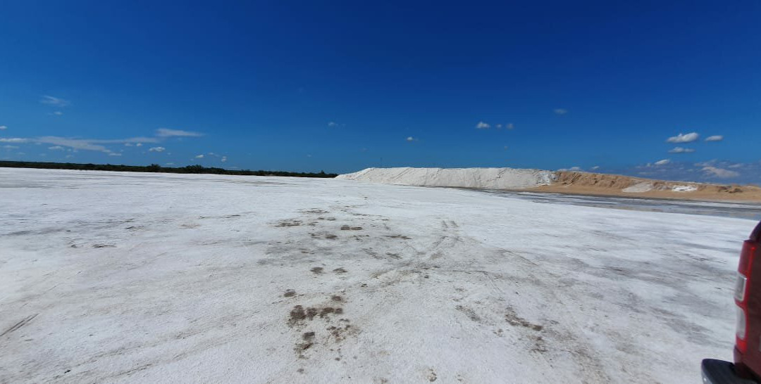 Salinas del Bebedero景点图片