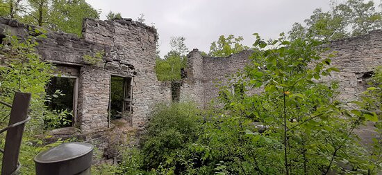 Christie Lake Conservation Area景点图片