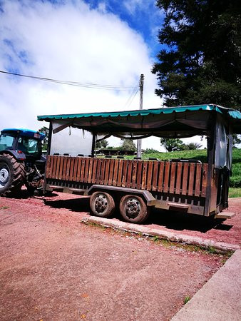 Corso Lecheria Tour景点图片