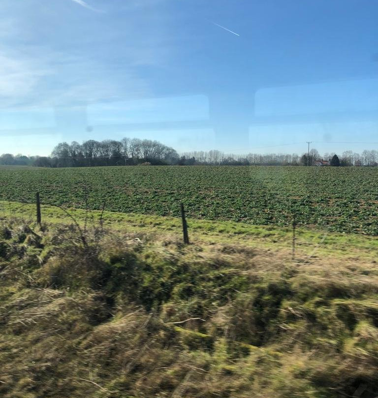 Bicester North Railway Station-Bicester必去景点