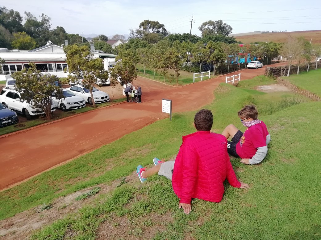 Bloemendal Wine Estate-德班丘必去景点