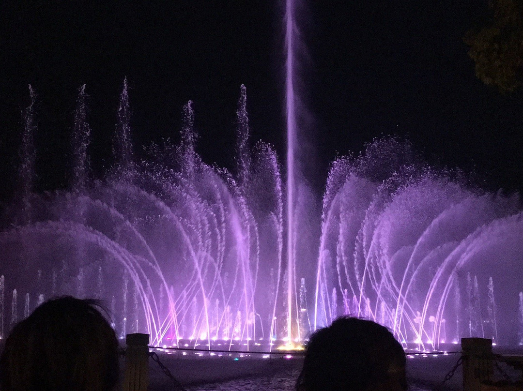 西湖音乐喷泉-杭州市必去景点