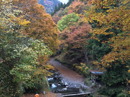 Minedani River Fishing Spot