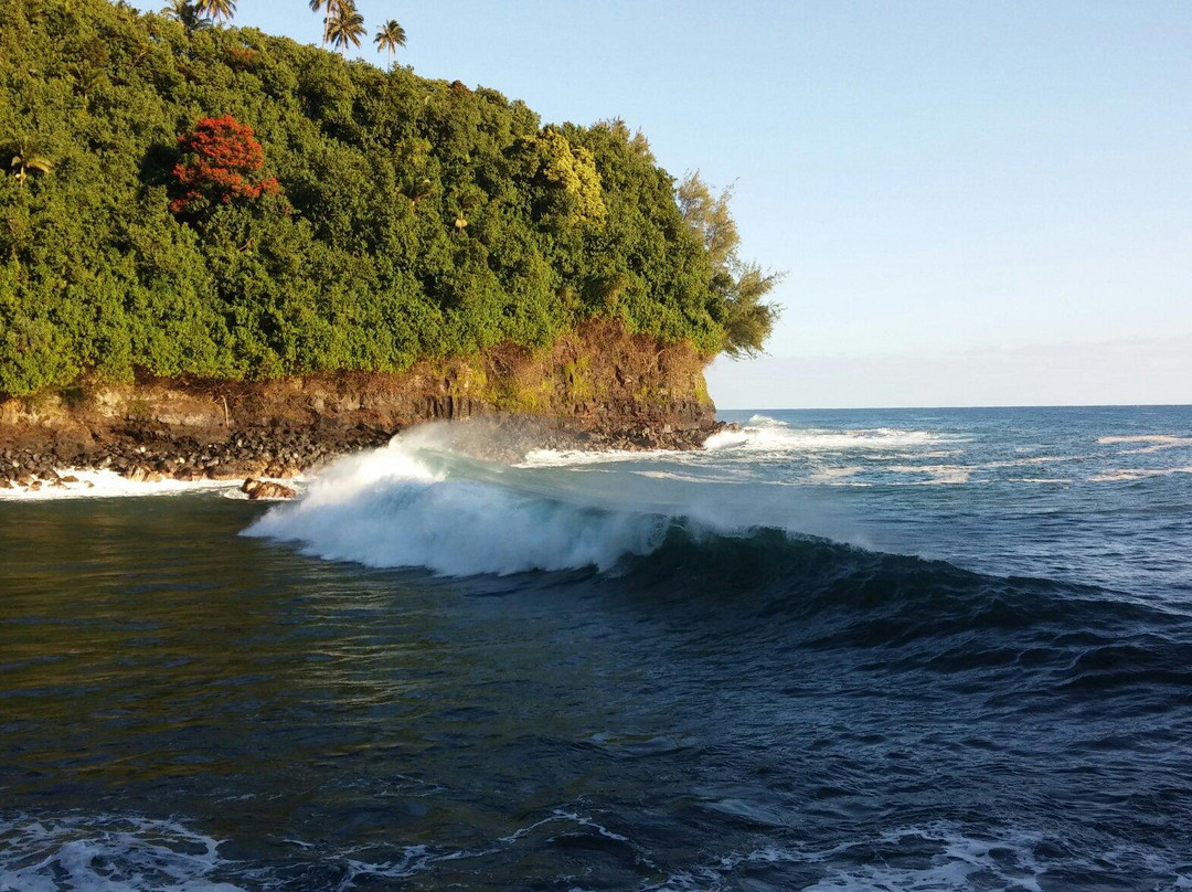 Hakalau Beach景点图片