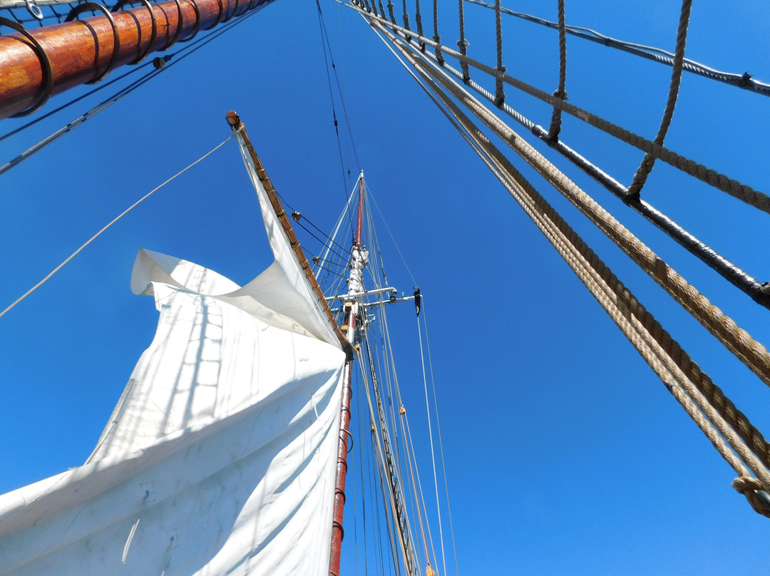 Bluenose II Company Store景点图片