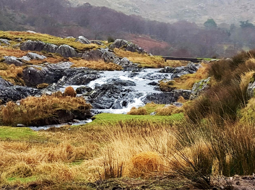 Tuosist旅游攻略图片