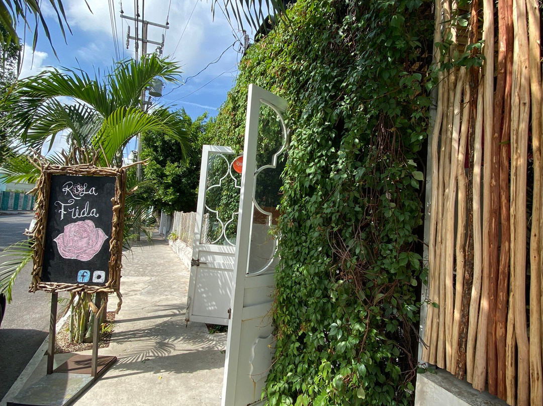 Rosa Frida Cafeteria