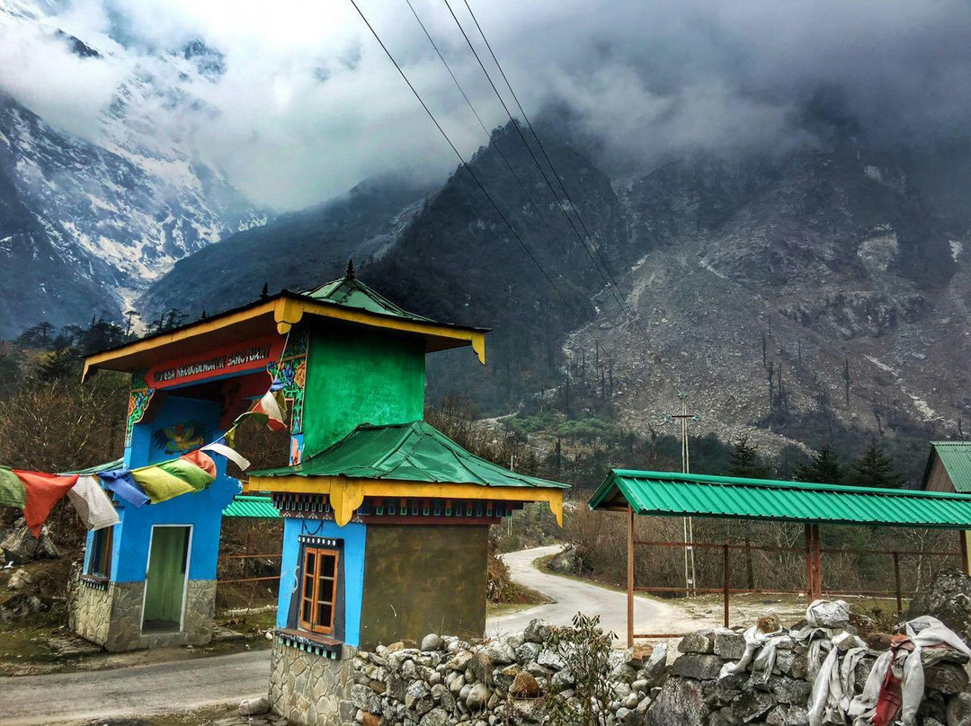 Lachung旅游景点-Shingba Rhododendron Sanctuary