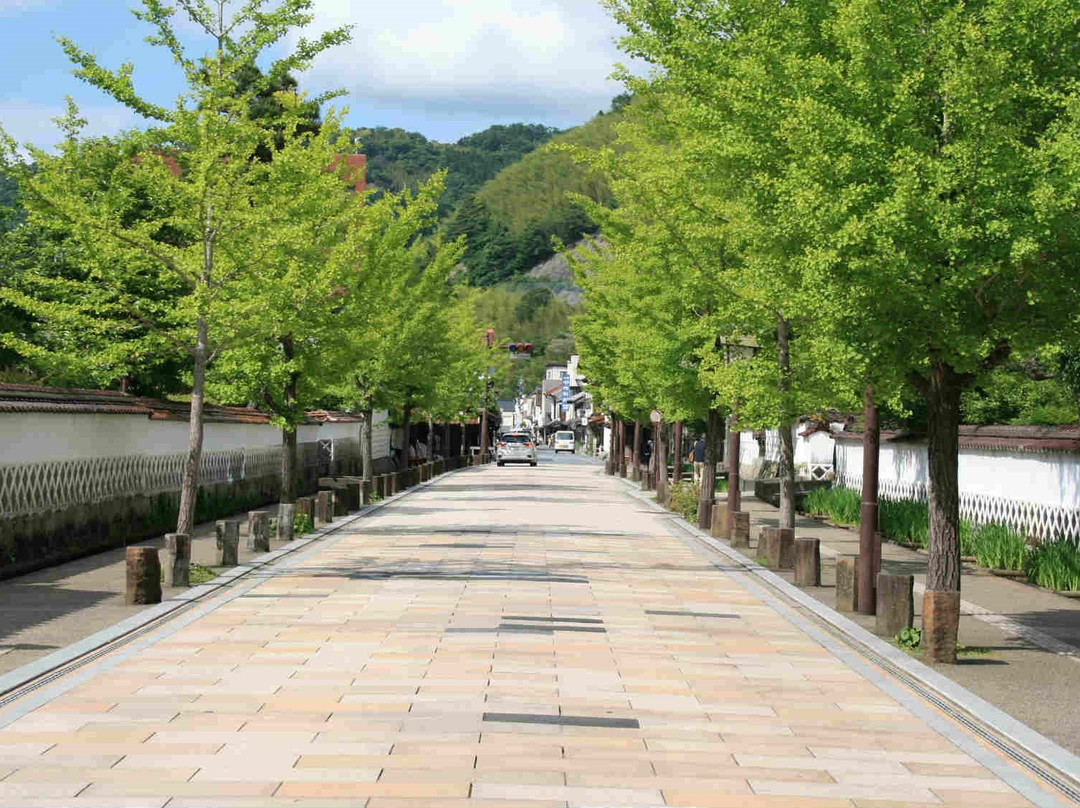 津和野町旅游景点-Tonomachi Street