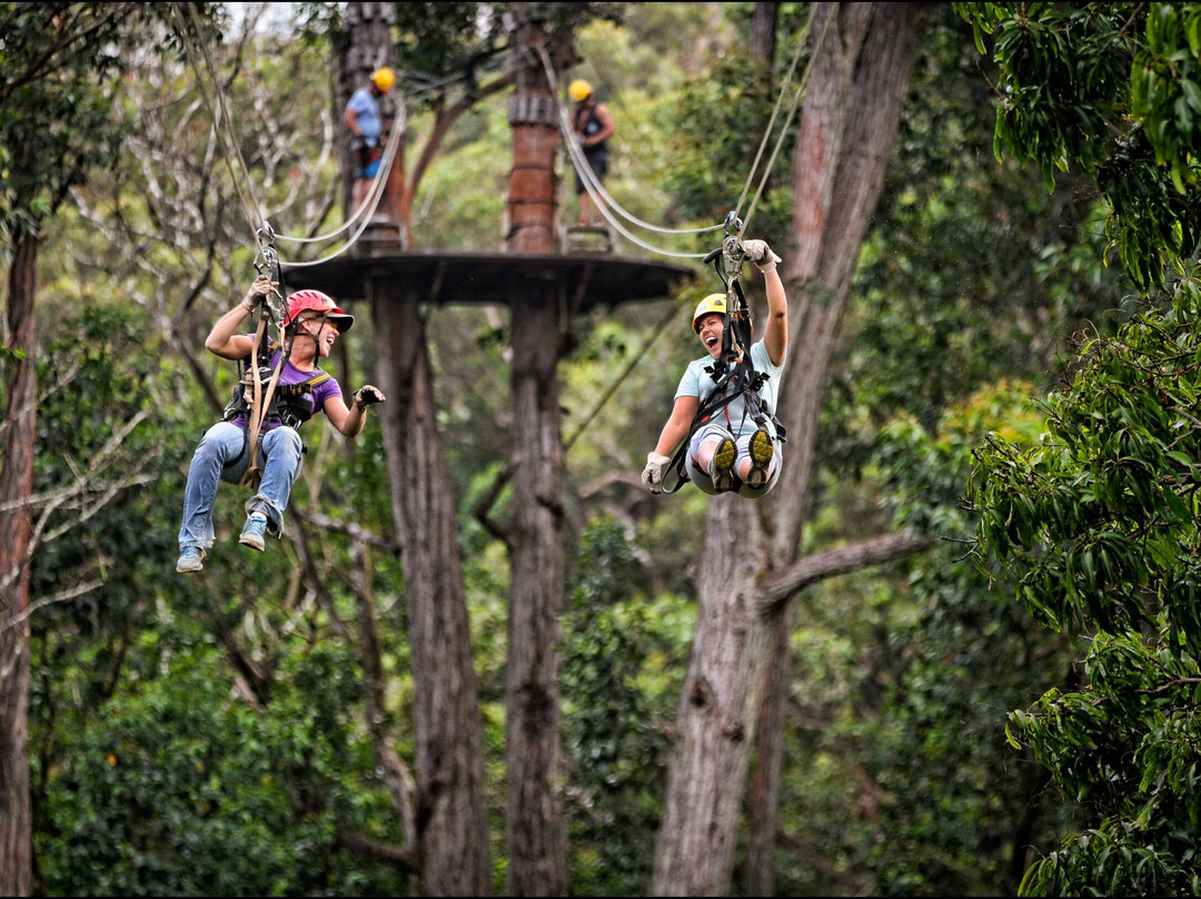Kohala Zipline-哈威必去景点