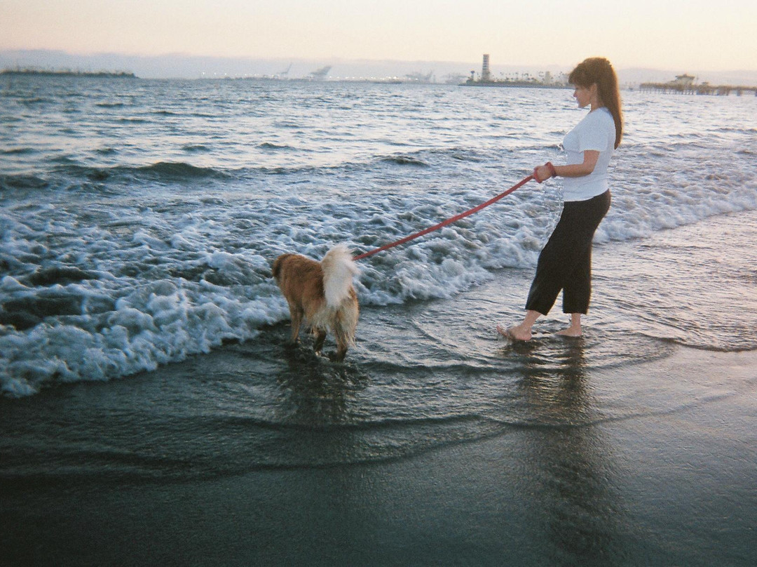 Rosie's Dog Beach景点图片