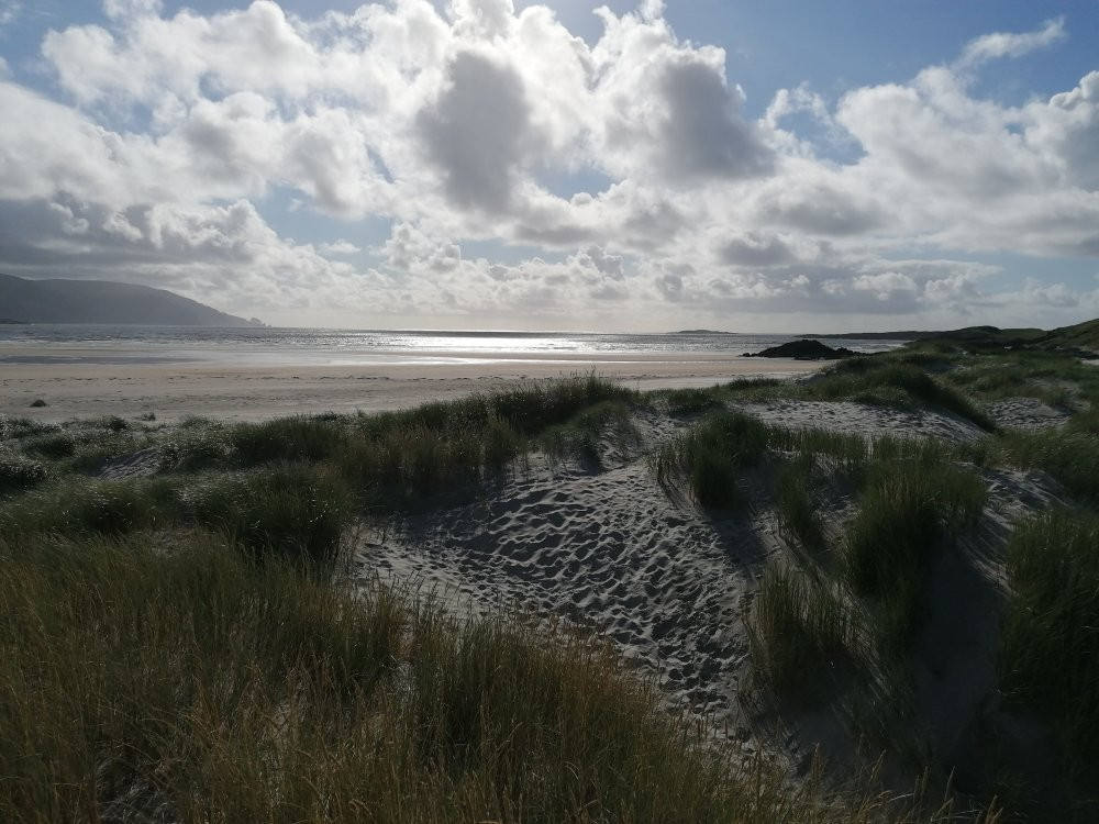 Sheshkinmore Nature Reserve
