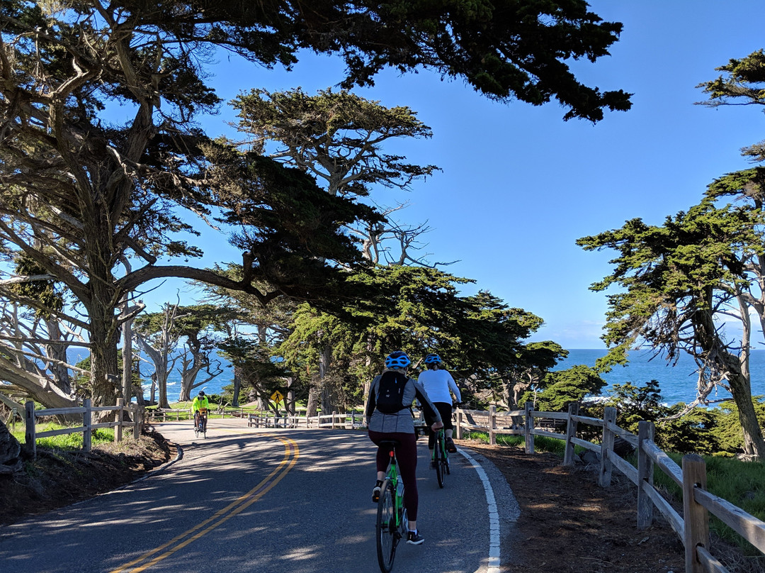 Work Horse Bicycles-蒙特雷必去景点