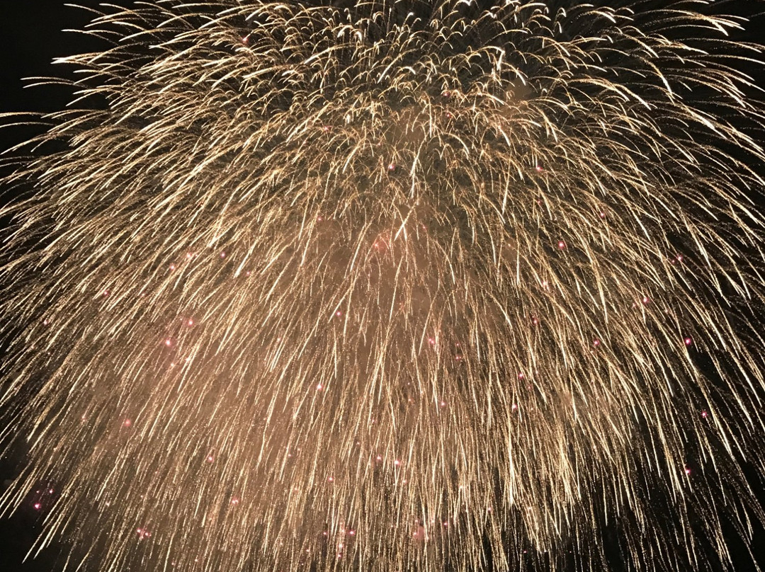 Kuwana Suigo Fireworks景点图片