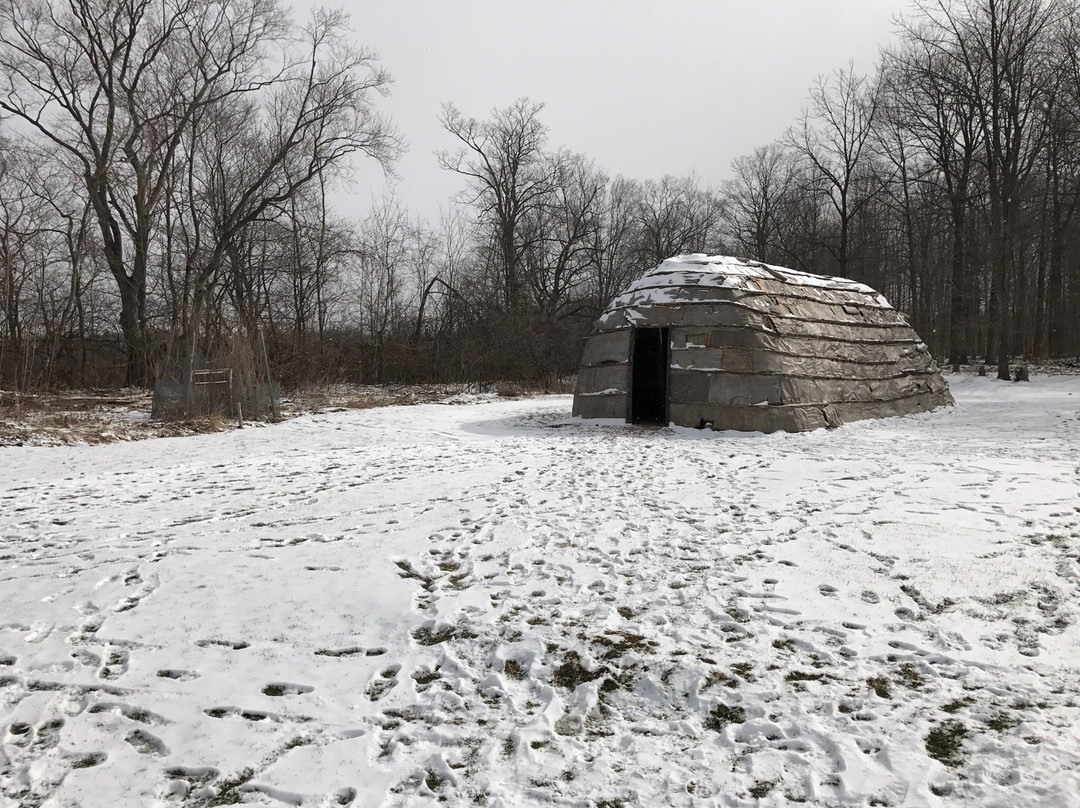 Ilderton旅游景点-Museum of Ontario Archaeology
