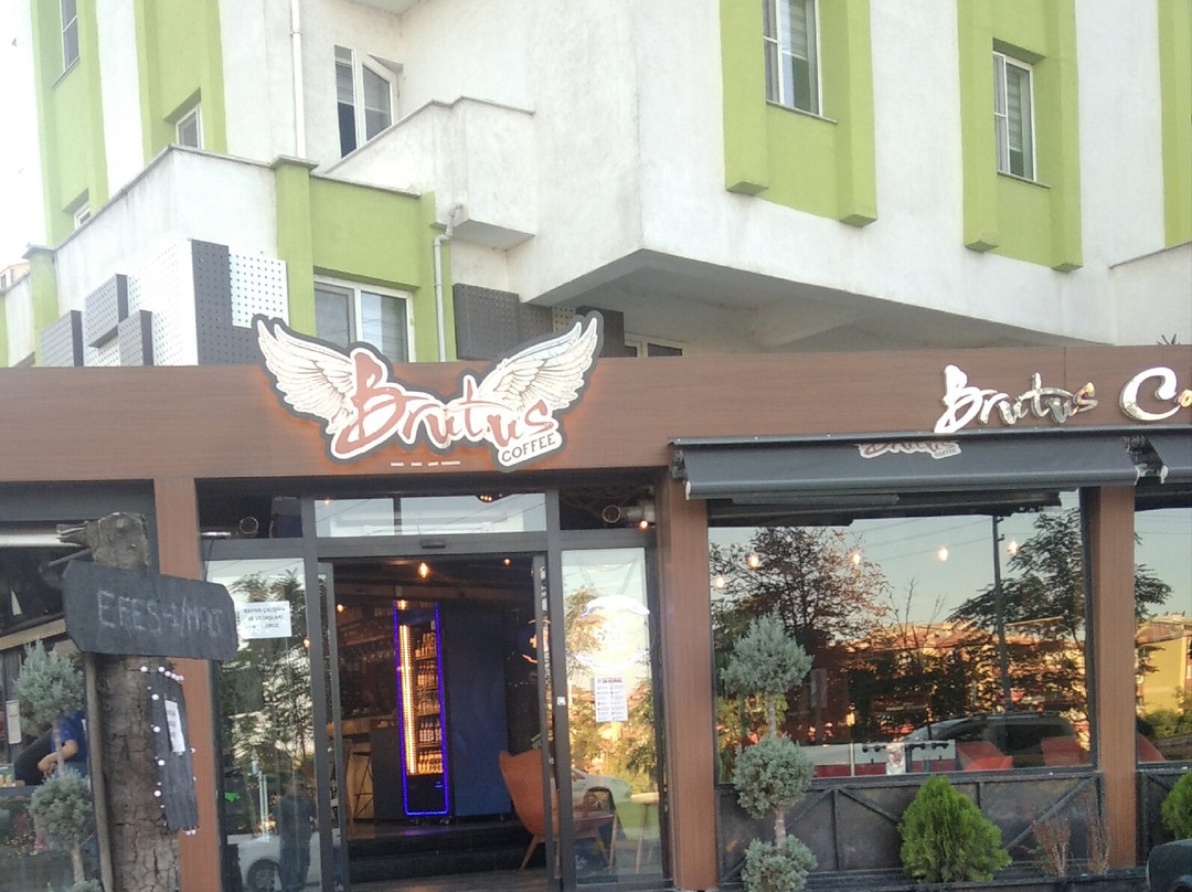 Coffee Brutus