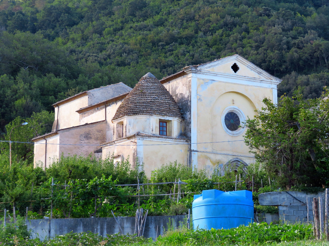 Chiesa Del Carmine景点图片