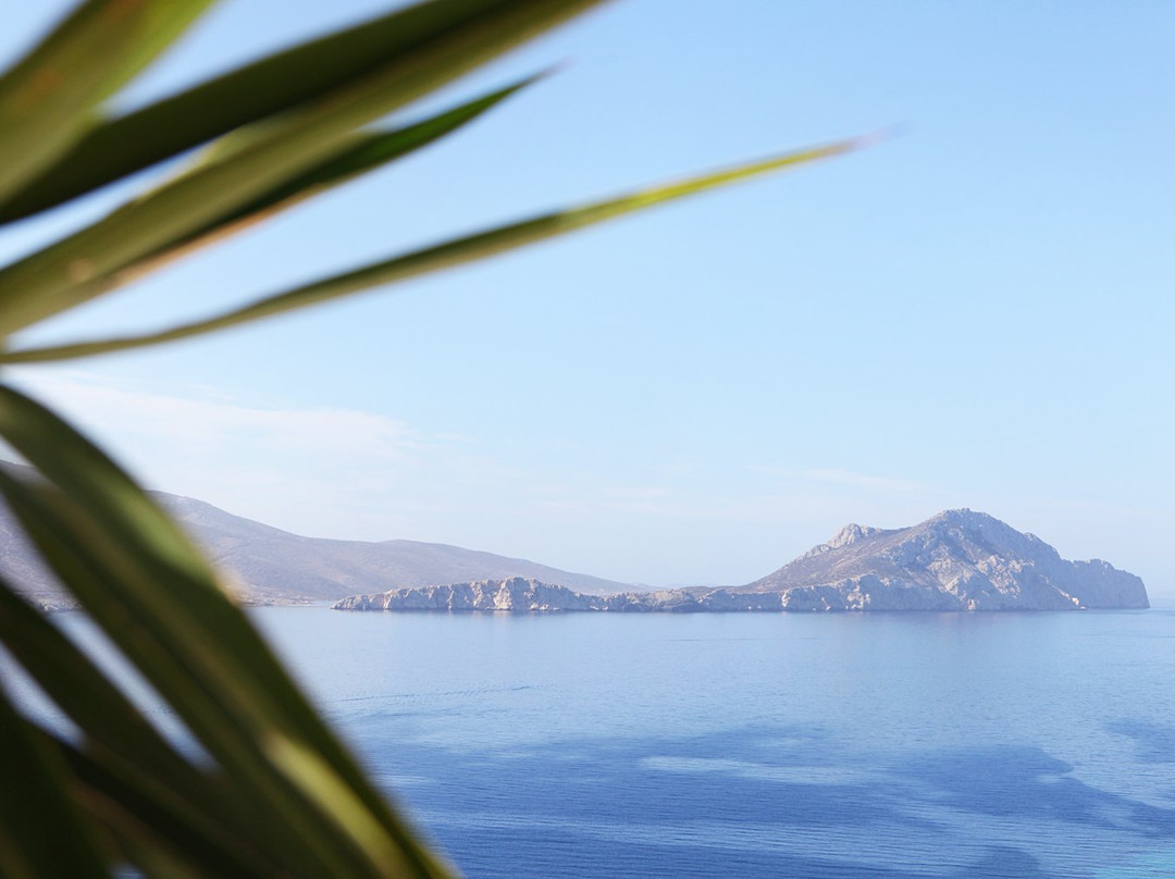 Amorgos酒店住宿-Aegialis Hotel & Spa