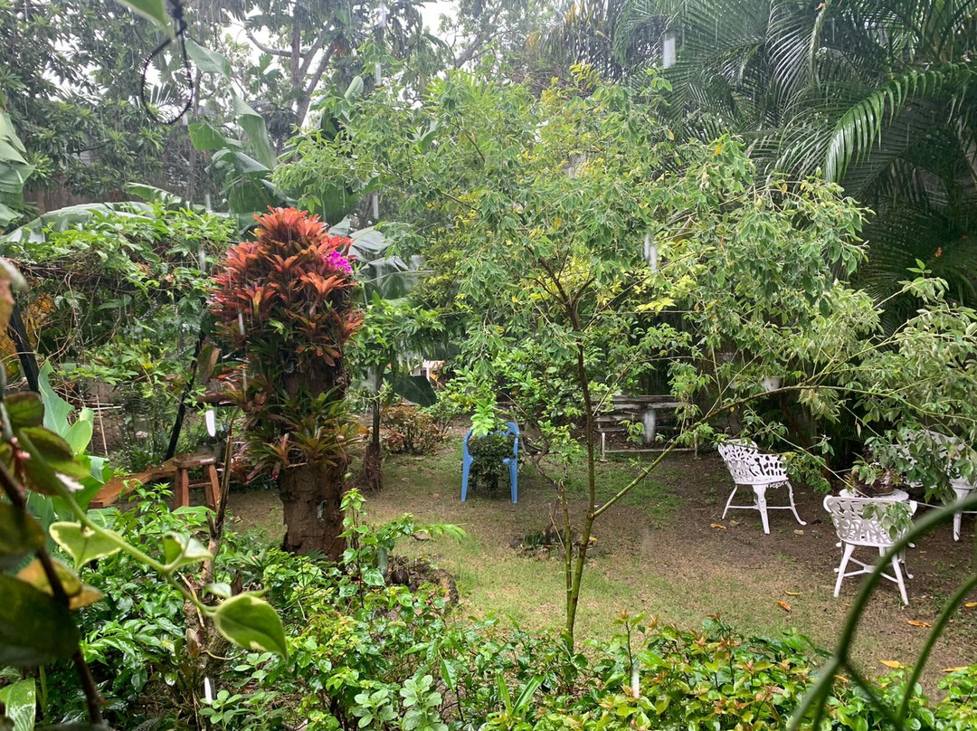 El Patio de Martin Omar