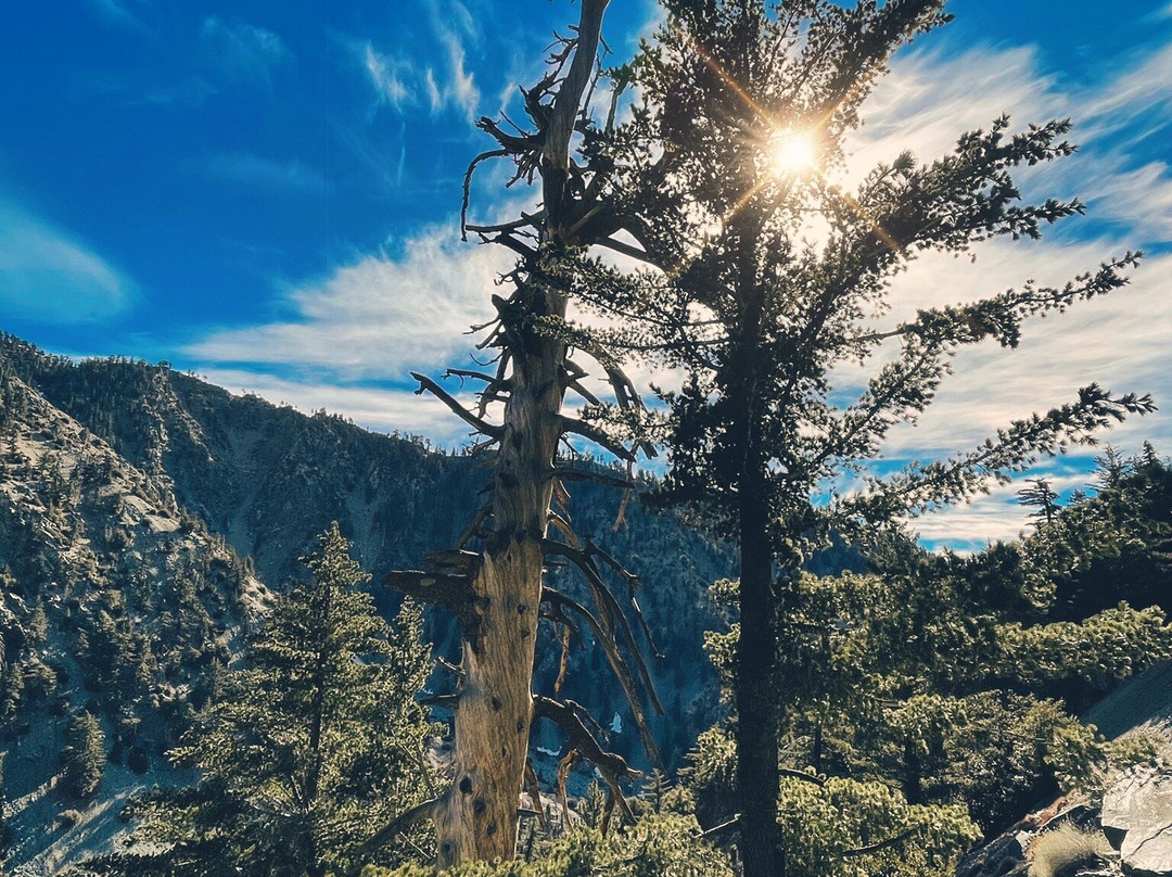 Old Baldy-Wimberley必去景点