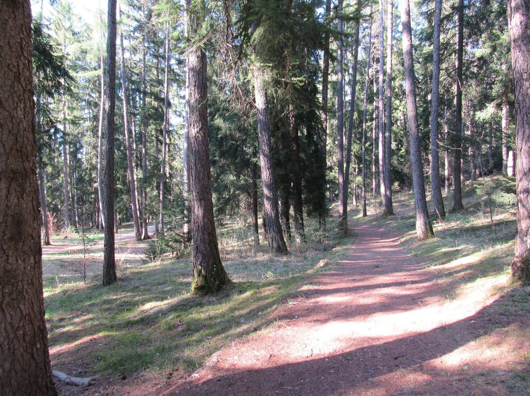 Pineta Di Cavareno景点图片