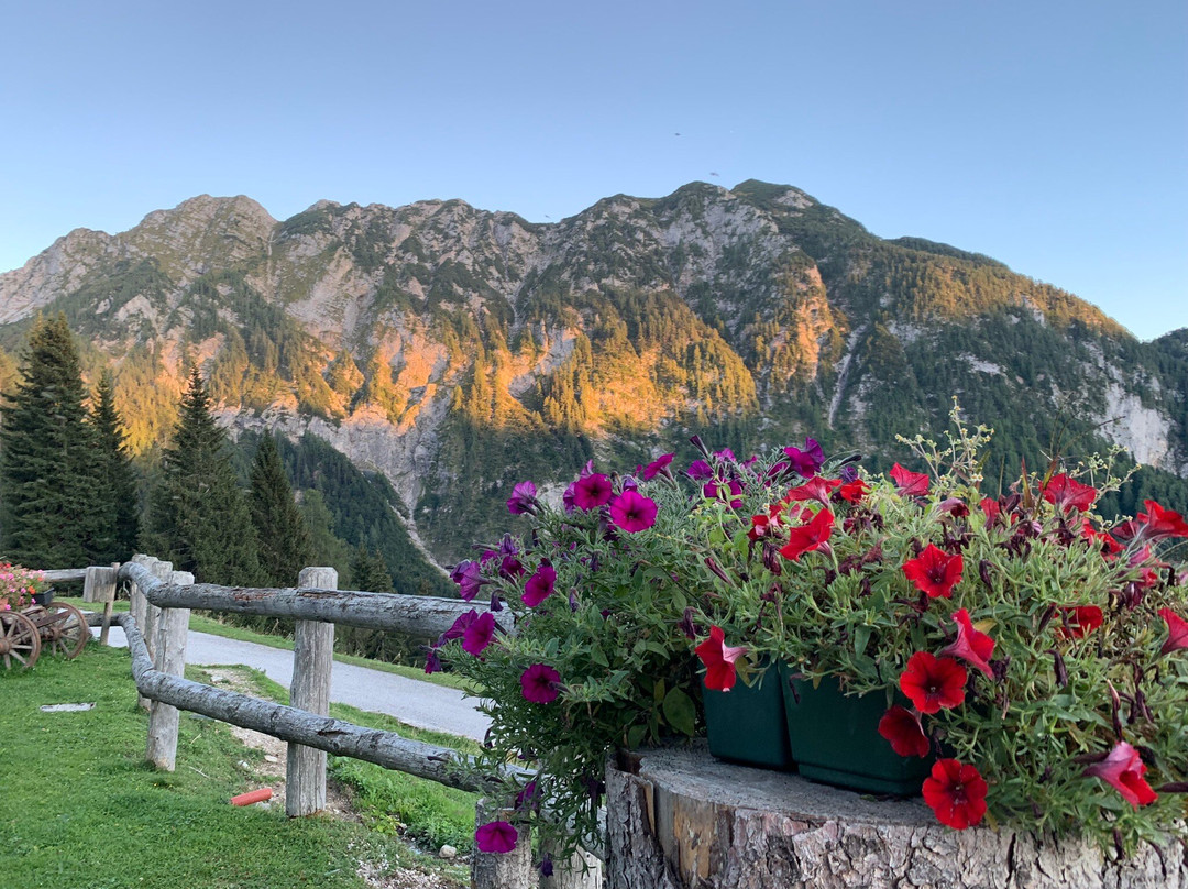 Malga Poccet景点图片