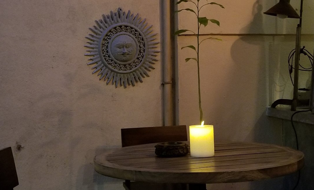 EXOTIC ROOTS-加勒必去景点