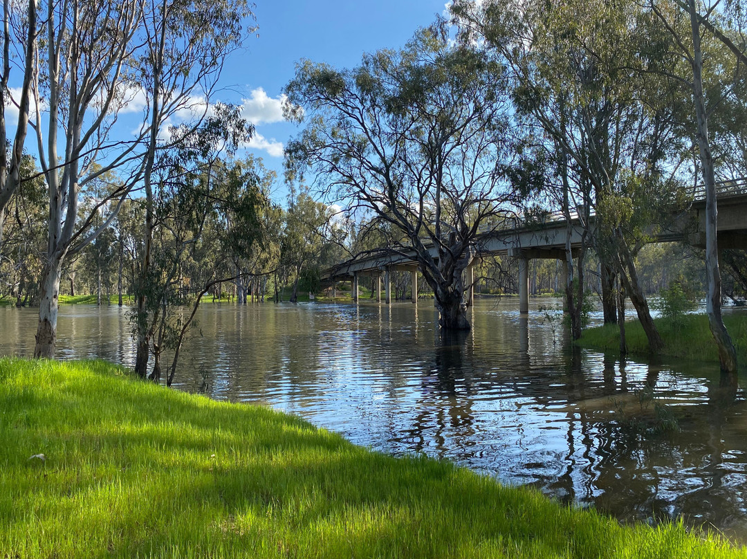 Barmah Punt