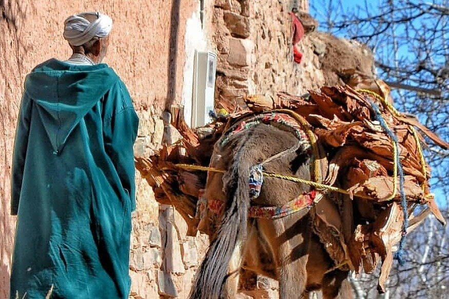 Marrakesh Travel Guide-马拉喀什必去景点