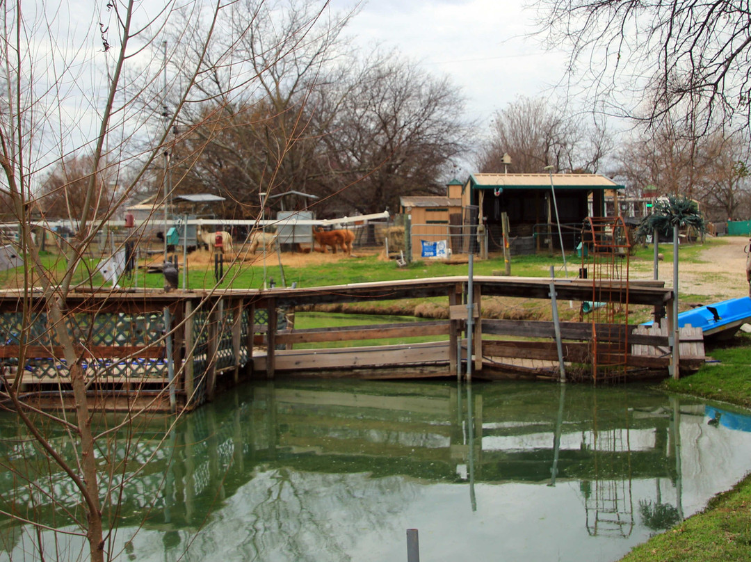 Old Irish Inn / Alpaca Inn主图