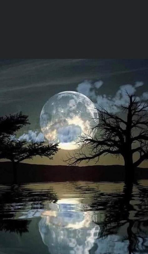 Oriole Taxi & Tours-蒂瑟默哈拉默必去景点