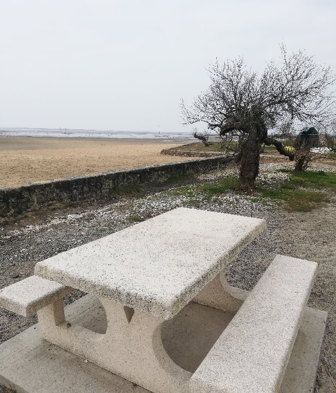 Domaine de Certes et Graveyron-Audenge必去景点