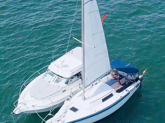 WAVEPOL EXPERIENCE-巴伦西亚必去景点