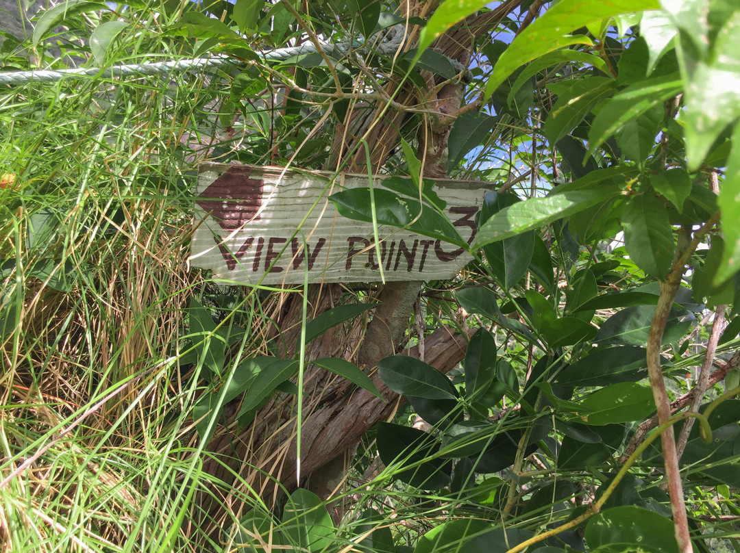 Chado Cliff Viewpoint景点图片
