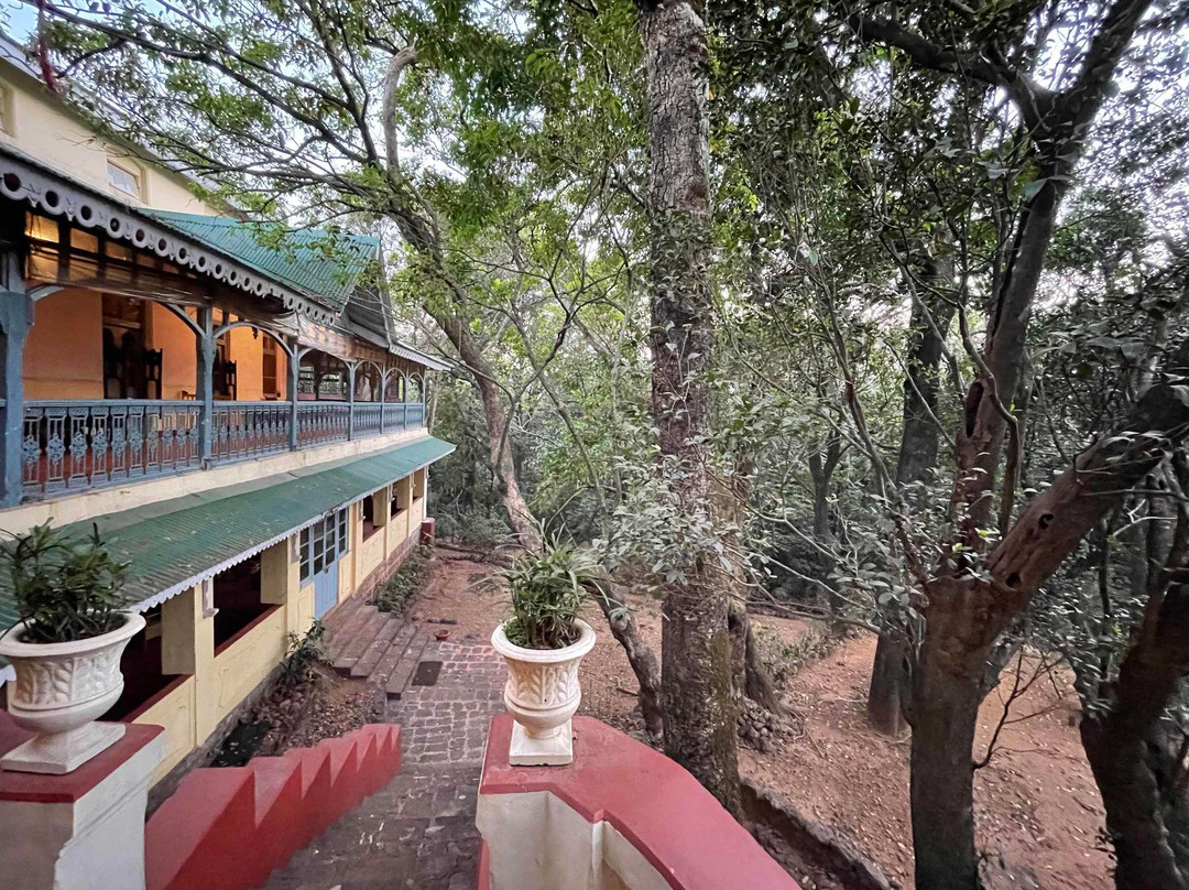 Dune Barr House - Verandah In The Forest主图